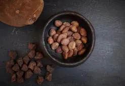 Cupuaçu-butter fra Amazonas - balance mellem fedtsyrer for perfekt hydrering