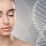 Encyklopædien for fejlfri hud: STAMCELLER