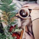 Hårpleje verden over. 5. del: Hårpleje i Nordamerika