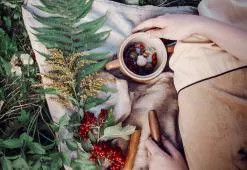 Hårpleje verden over. 5. del: Hårpleje i Nordamerika